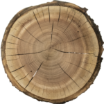 holzschriftart – …wenn Holz erzählt